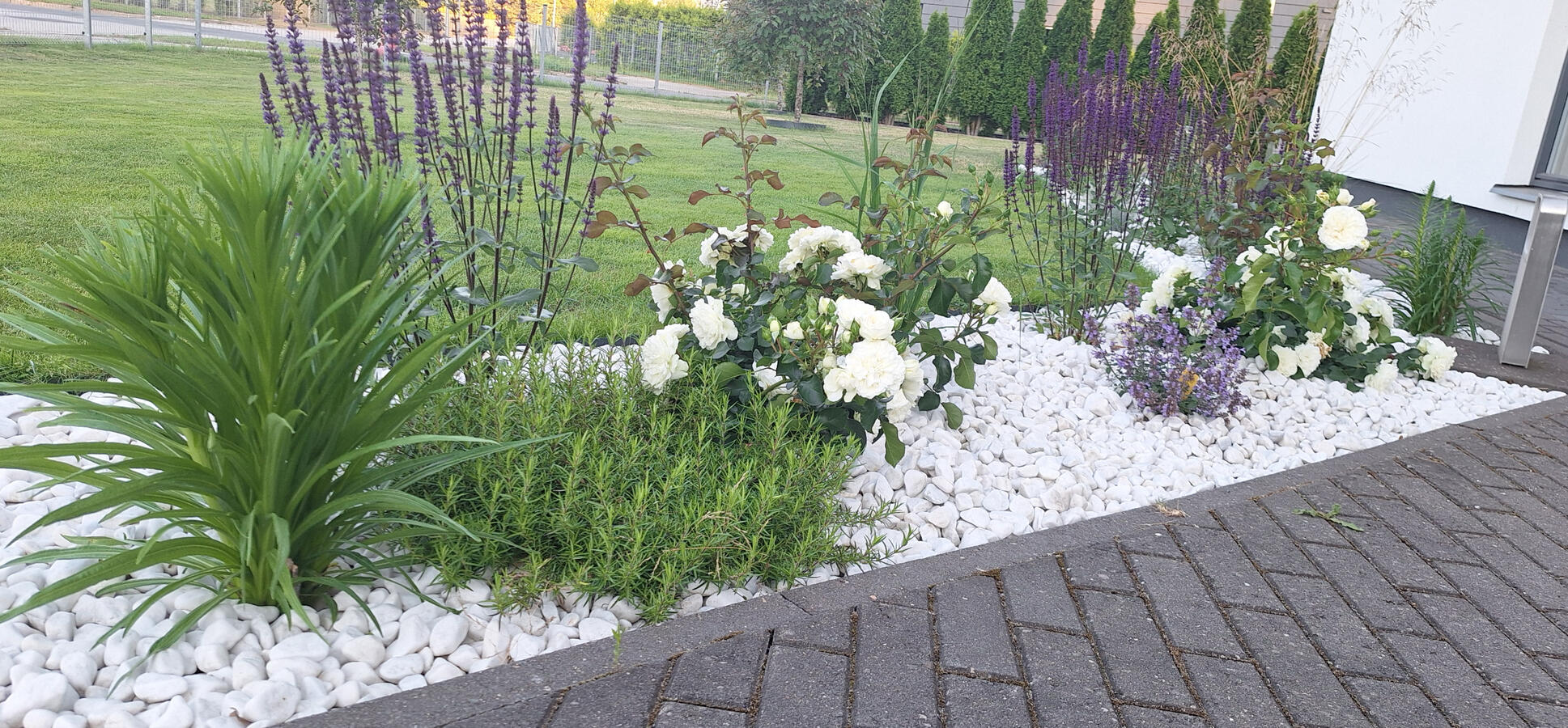 Samal kevadel rajatud peenar