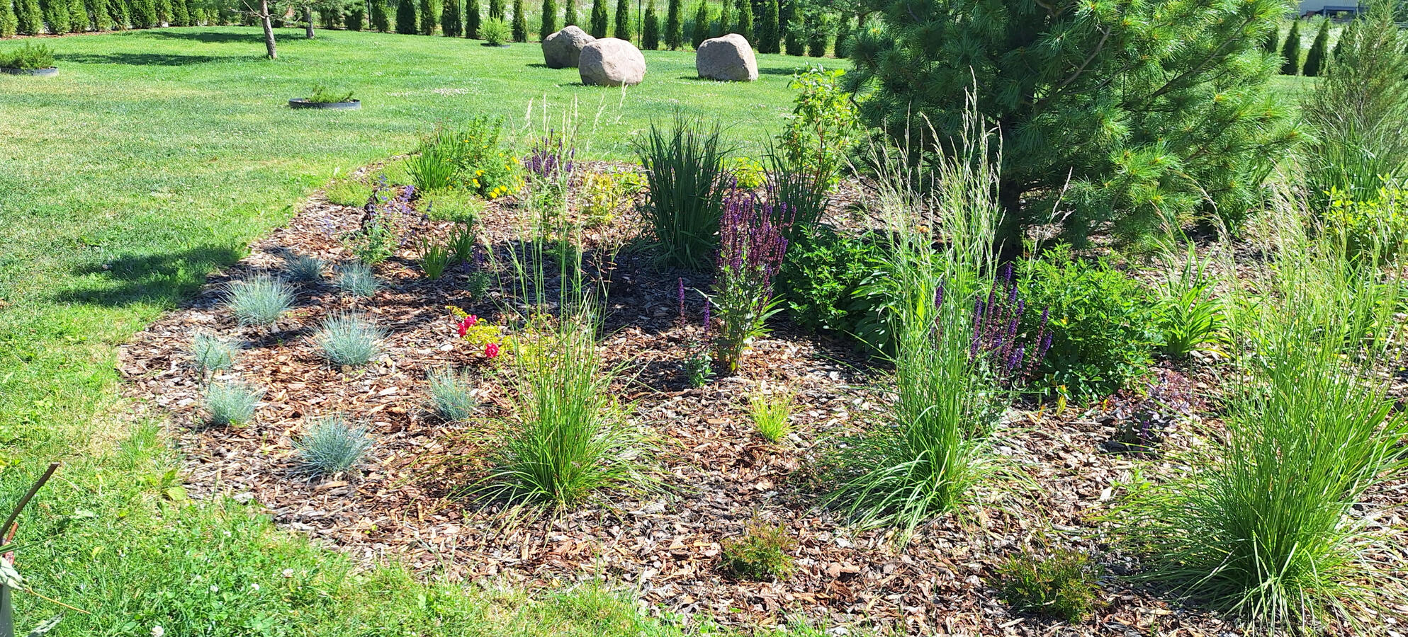 Värskel istutusalal enne servahooldust